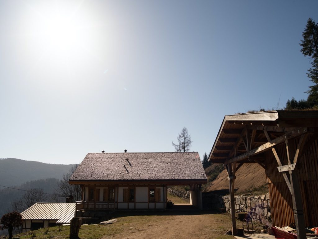 Vue extérieure : chalet et hangar attenant en bois